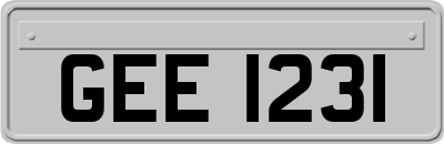 GEE1231