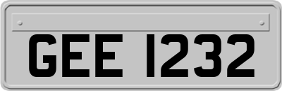 GEE1232