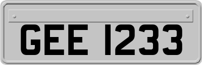 GEE1233