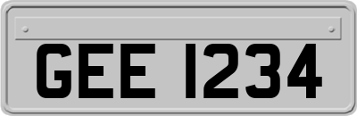 GEE1234