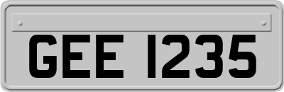GEE1235