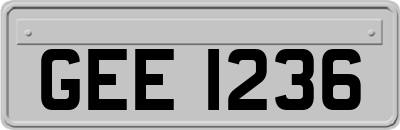 GEE1236