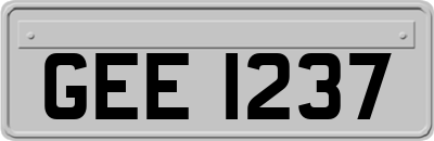 GEE1237