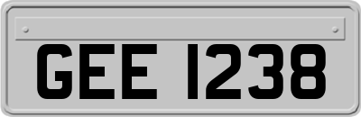 GEE1238
