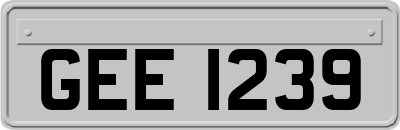 GEE1239