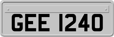 GEE1240