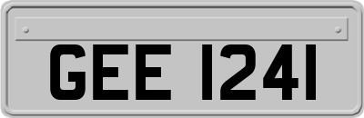 GEE1241