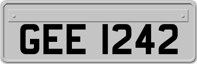 GEE1242