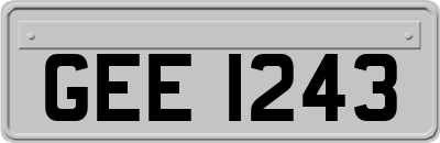 GEE1243