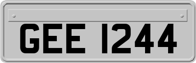 GEE1244