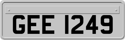 GEE1249