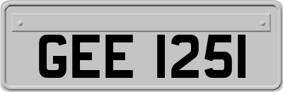 GEE1251