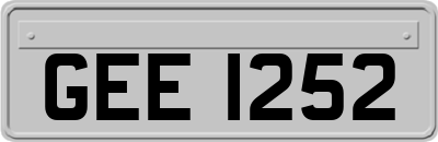 GEE1252
