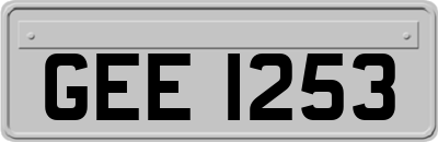 GEE1253