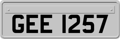 GEE1257