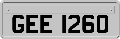 GEE1260