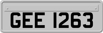 GEE1263