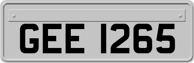 GEE1265