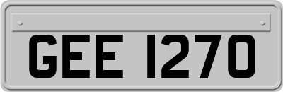 GEE1270