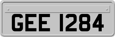 GEE1284
