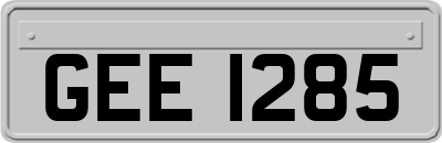 GEE1285