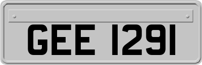 GEE1291