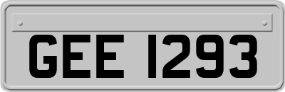 GEE1293