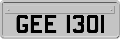 GEE1301