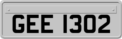 GEE1302