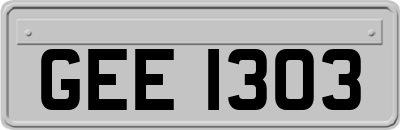 GEE1303