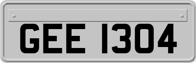 GEE1304