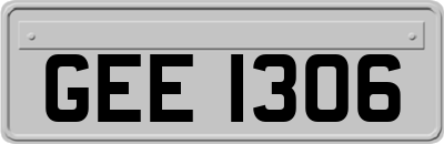 GEE1306