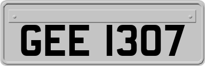 GEE1307