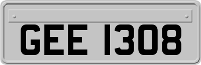 GEE1308