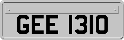 GEE1310
