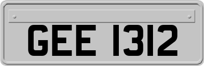 GEE1312