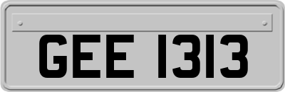 GEE1313