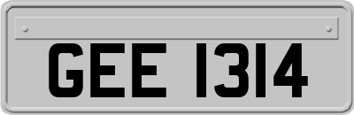 GEE1314