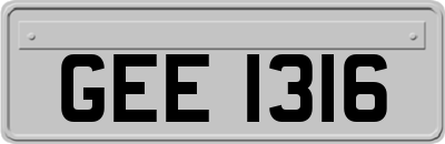 GEE1316