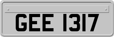 GEE1317