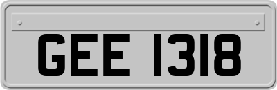 GEE1318