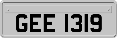 GEE1319