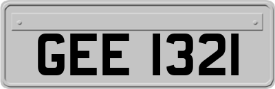 GEE1321