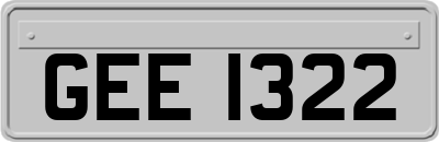 GEE1322