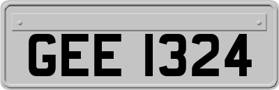 GEE1324