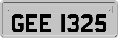 GEE1325