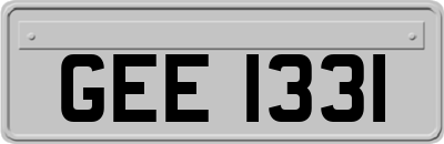 GEE1331