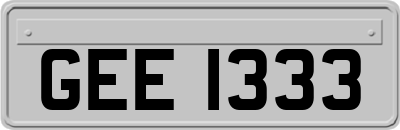 GEE1333