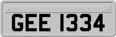 GEE1334