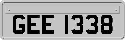 GEE1338